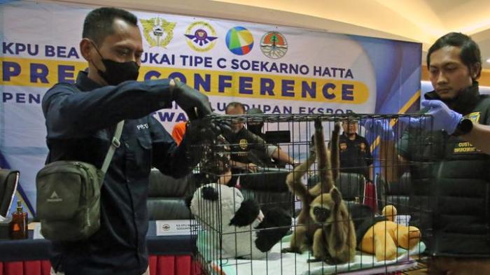 Polisi Gagalkan Penyelundupan Satwa Langka di Bandara