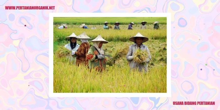 Peluang Bisnis Pertanian Organik di Indonesia