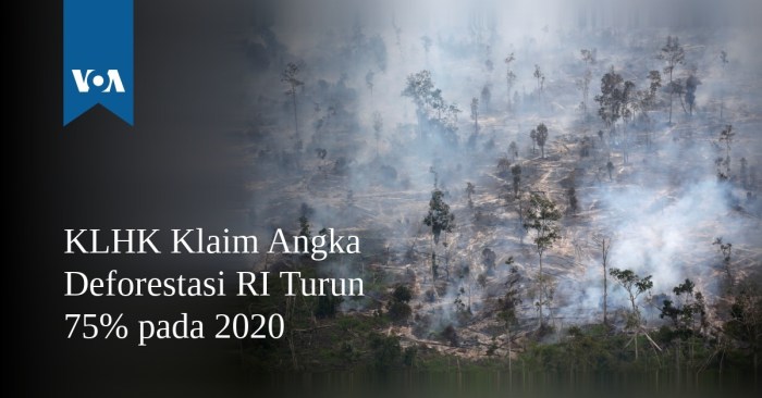 Deforestasi di Kalimantan Turun 20 Persen