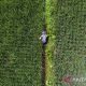 Pemerintah Siapkan Subsidi Baru untuk Petani