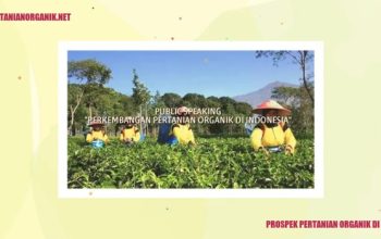 Komoditas organik sayur buah pertanian tantangan bisnis peluang