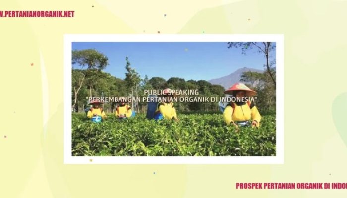 Peluang Bisnis Pertanian Organik di Indonesia yang Menjanjikan