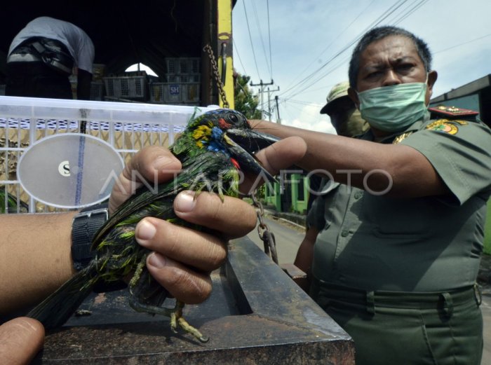 Polisi Gagalkan Penyelundupan Satwa Langka di Bandara
