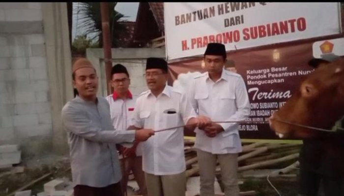 Prabowo Serahkan Sapi Kurban Jumbo ke Istiqlal, Disaksikan Jamaah