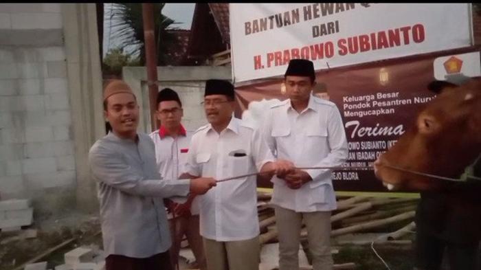 Prabowo Subianto Sumbang Sapi Kurban Jenis Simental ke Ponpes Nurul ... Prabowo Serahkan Sapi Kurban Jumbo ke Istiqlal, Disaksikan Jamaah