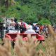 Panen Jagung Serentak, Prabowo Pakai Traktor Modern