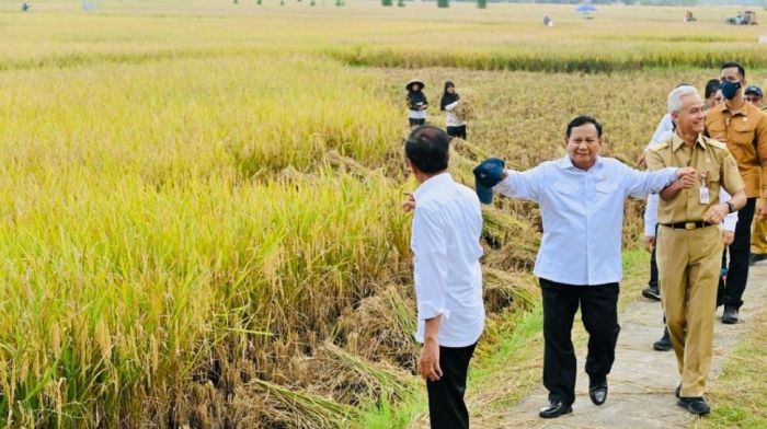 Potret Jokowi Tanam Jagung Pakai Traktor Bareng Petani Jeneponto Potret Jokowi Tanam Jagung Pakai Traktor Bareng Petani Jeneponto