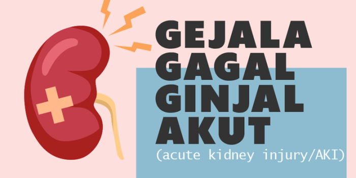 INFOGRAFIK: Kenali Gejala Gagal Ginjal Akut Gagal Ginjal karena Tekanan Darah Tinggi? Ini Kata Ahli