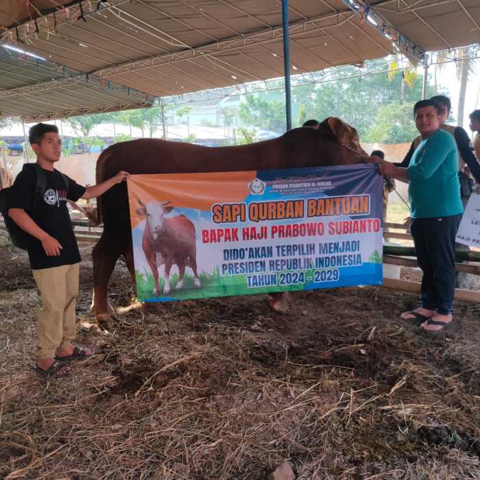 Prabowo Subianto Menyumbangkan Hewan Qurban Terbaiknya, Ponpes Al ... Prabowo Serahkan Sapi Kurban Jumbo ke Istiqlal, Disaksikan Jamaah