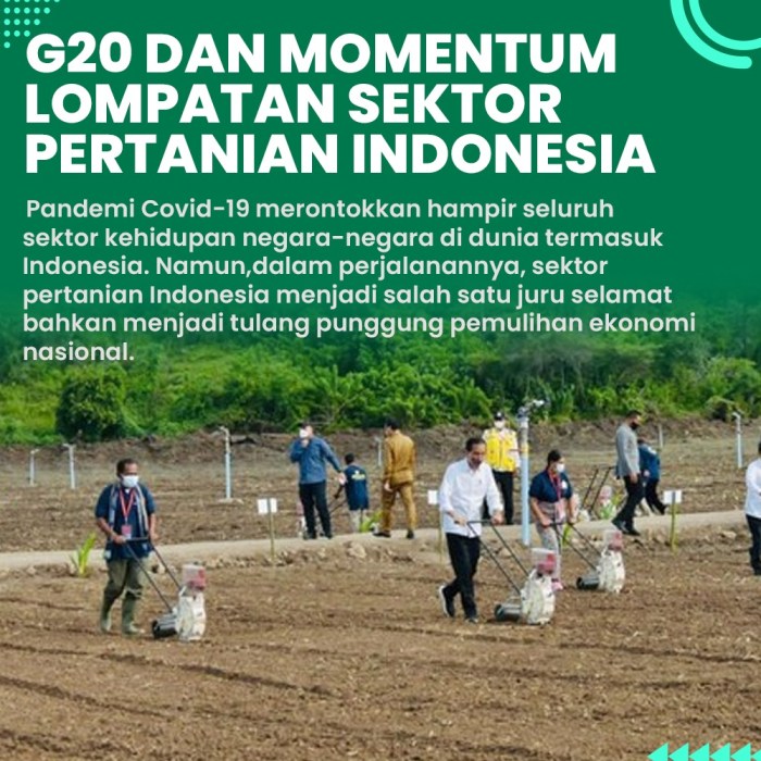 Danantara dan RDIF Siapkan Investasi Rp 37,6 Triliun lewat Platform Baru Kerja Sama Pertanian: Indonesia-Rusia Siapkan Lompatan Teknologi Baru