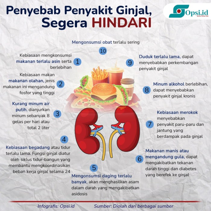 Leaflet Diet Gagal Ginjal Kronik - Perumperindo.co.id Lingkaran Setan Hipertensi dan Gagal Ginjal: Mana yang Menyebabkan?