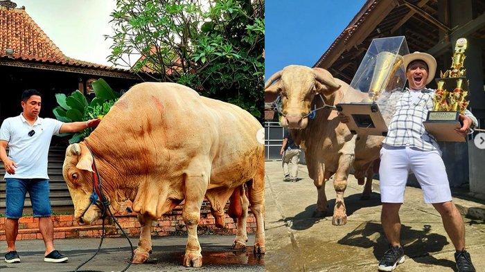 3 Nama Sapi Kurban Irfan Hakim dari Tahun ke Tahun, Terakhir Wariso ...