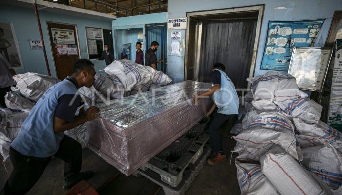 Pato Tawarkan Bantu Biaya Pemulangan Jenazah Juliana Marins