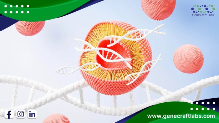 Uni Eropa tinjau kasus gangguan menstruasi usai vaksinasi COVID mRNA ... Terobosan Vaksin mRNA untuk Penyakit Baru
