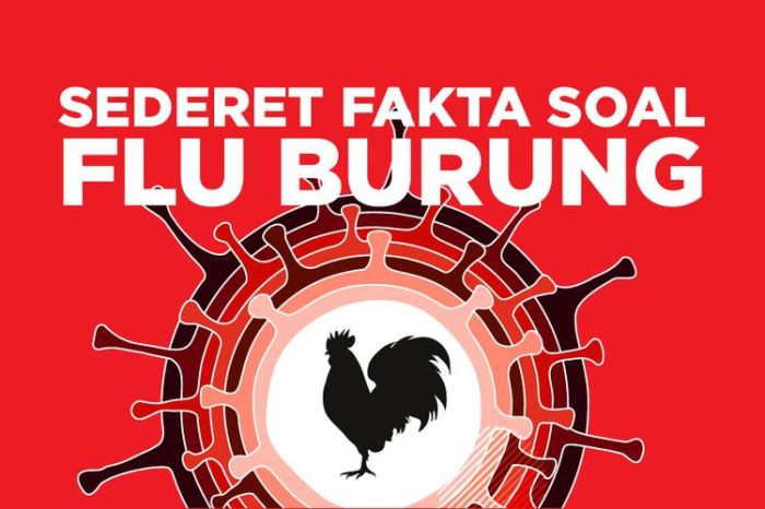 Infografis Waspadai Kecenderungan Flu Burung Menginfeksi Manusia WHO Umumkan Status Waspada Global Terhadap Flu Burung