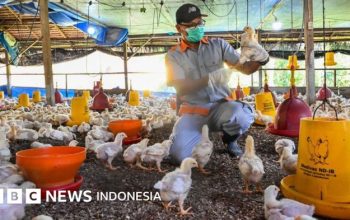 WHO Umumkan Status Waspada Global Terhadap Flu Burung