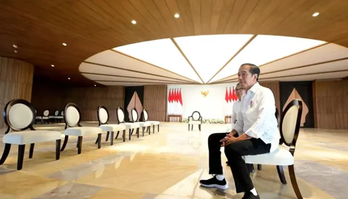 Jokowi Menjadi Penasihat Ekonomi Baru Bloomberg, Perkuat Suara Indonesia di Forum Global