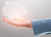 Otak Menyusut di Usia 30, Risiko Alzheimer Meningkat