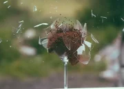 Fenomena Putus Cinta di Bulan September dan Alasan Ilmiahnya
