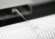 Gempa Magnitudo 5,3 Terjadi di Perairan Maluku Tenggara Tanpa Potensi Tsunami