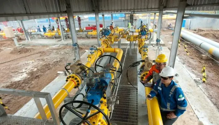 PGN Dukung Pengembangan Desa Tertinggal Selain Bisnis Gas