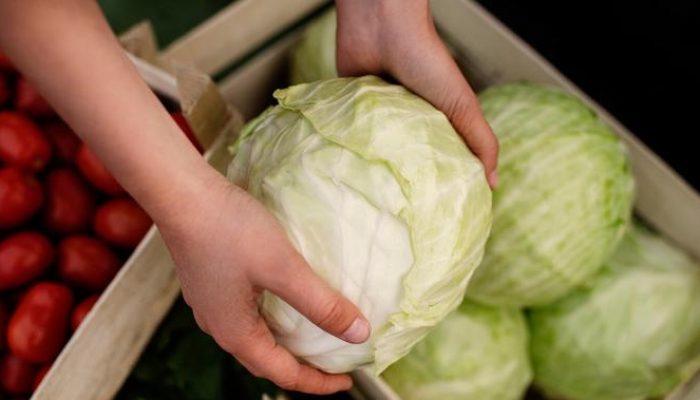 Waspadai Efek Sering Makan Kubis Saat Hamil atau Mengonsumsi Obat