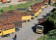 Wagub Aceh Bertemu Sopir Truk Medan dan Menanyakan Sudah Makan atau Belum