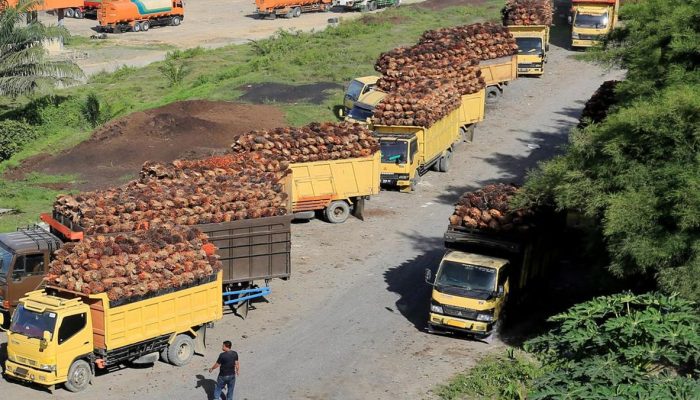 Wagub Aceh Bertemu Sopir Truk Medan dan Menanyakan Sudah Makan atau Belum
