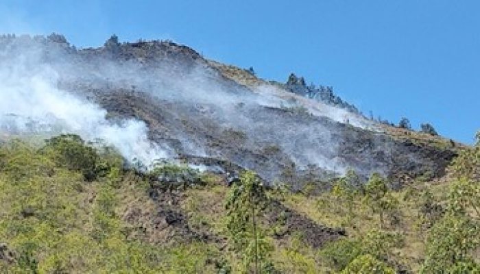 Lereng Gunung Batur Kintamani Terbakar Diduga Akibat Puntung Rokok