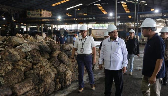 Wamenaker Apresiasi Jambi Serap 100 Persen Pekerja Lokal dan Raih Zero Accident