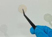 Inovatif, Mahasiswa Unpad Kembangkan Patch Antipenuaan Menggunakan Buah Merah Papua