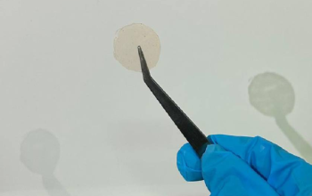 Inovatif, Mahasiswa Unpad Kembangkan Patch Antipenuaan Menggunakan Buah Merah Papua