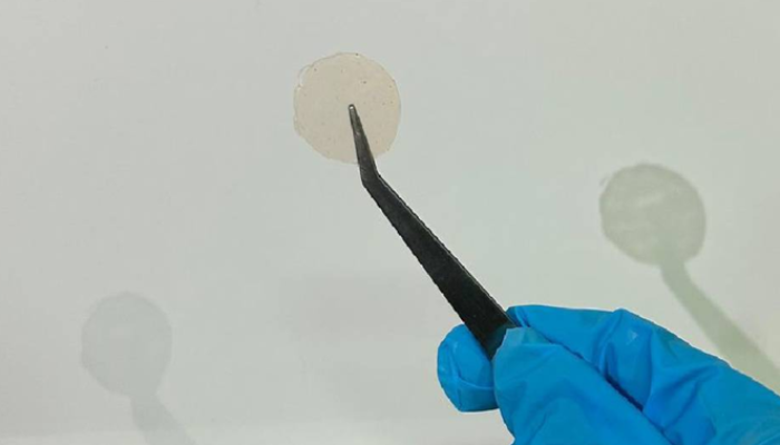 Inovatif, Mahasiswa Unpad Kembangkan Patch Antipenuaan Menggunakan Buah Merah Papua