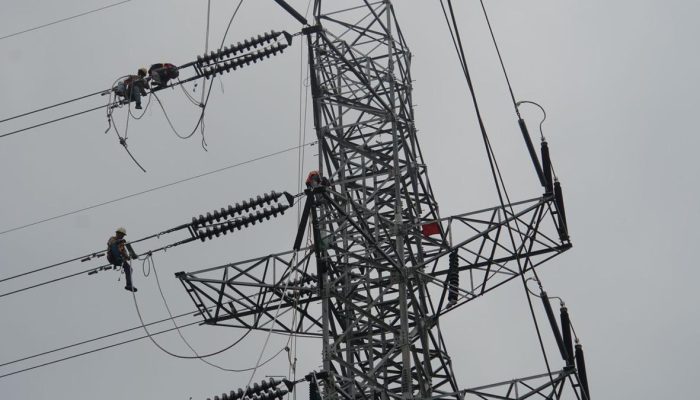 PLN Tanggapi Cepat Gangguan SUTT 150 kV Karet Lama–Angke Jakarta Barat