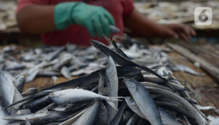 Calon Pendamping Halal untuk UMKM Perikanan Disiapkan oleh KKP