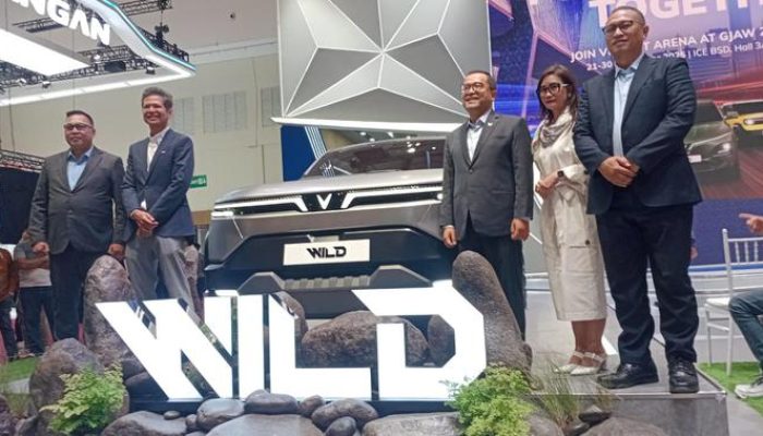 Masyarakat Indonesia Diajak Menentukan Nama untuk Model Terbaru Vinfast