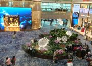 Terbang dari Singapura Dikenakan Retribusi Mulai Oktober 2026 untuk Bahan Bakar Berkelanjutan