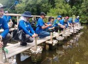 Transformasi TWA Angke Kapuk dari Lahan Rusak Menjadi Hutan Mangrove di Utara Jakarta