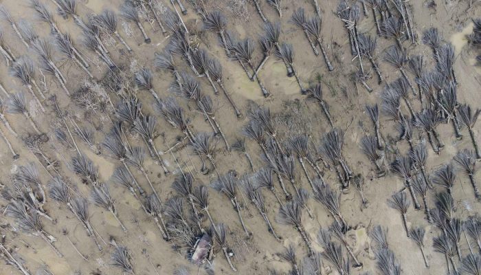 Kondisi Lebih Parah dari Tsunami yang Terjadi pada Tahun 2004