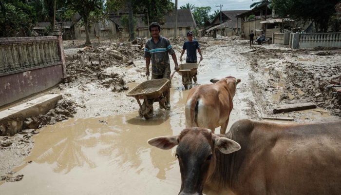 Pemkab Aceh Tamiang Usulkan Lahan Hunian Sementara untuk Korban Bencana Menurut BNPB