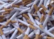 Jumlah Sampah Puntung Rokok di Indonesia Lebih Tinggi dari Limbah Makanan