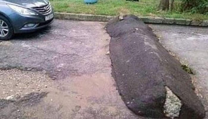 Waspadai Risiko Kerusakan Dudukan Mesin Motor Akibat Sering Melintasi Polisi Tidur