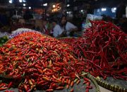 Harga Cabai Rawit Merah Capai Rp 95000 per Kg