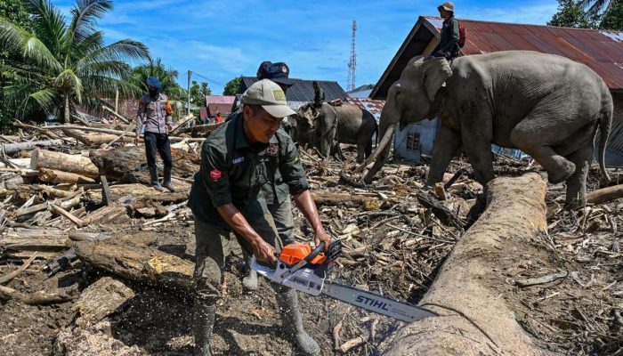 Komnas HAM Aceh Anggap Bencana Sumatra Sesuai Indikator Status Nasional