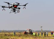 Sentuhan Digital Ubah Kebun Pir di Tiongkok Utara Jadi Pertanian Cerdas