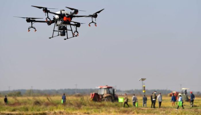 Sentuhan Digital Ubah Kebun Pir di Tiongkok Utara Jadi Pertanian Cerdas