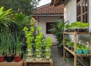 6 Tanaman Bumbu Dapur Mudah untuk Ditanam di Pot di Rumah