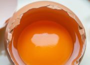 8 Manfaat Kuning Telur Omega untuk Kesehatan dan Kelebihannya Dibanding Telur Biasa