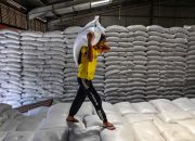 Tiga Teratas Indonesia Siap Ekspor Beras