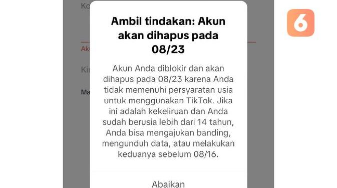 Keluhan Akun TikTok Diblokir Membuat Warganet Bingung
